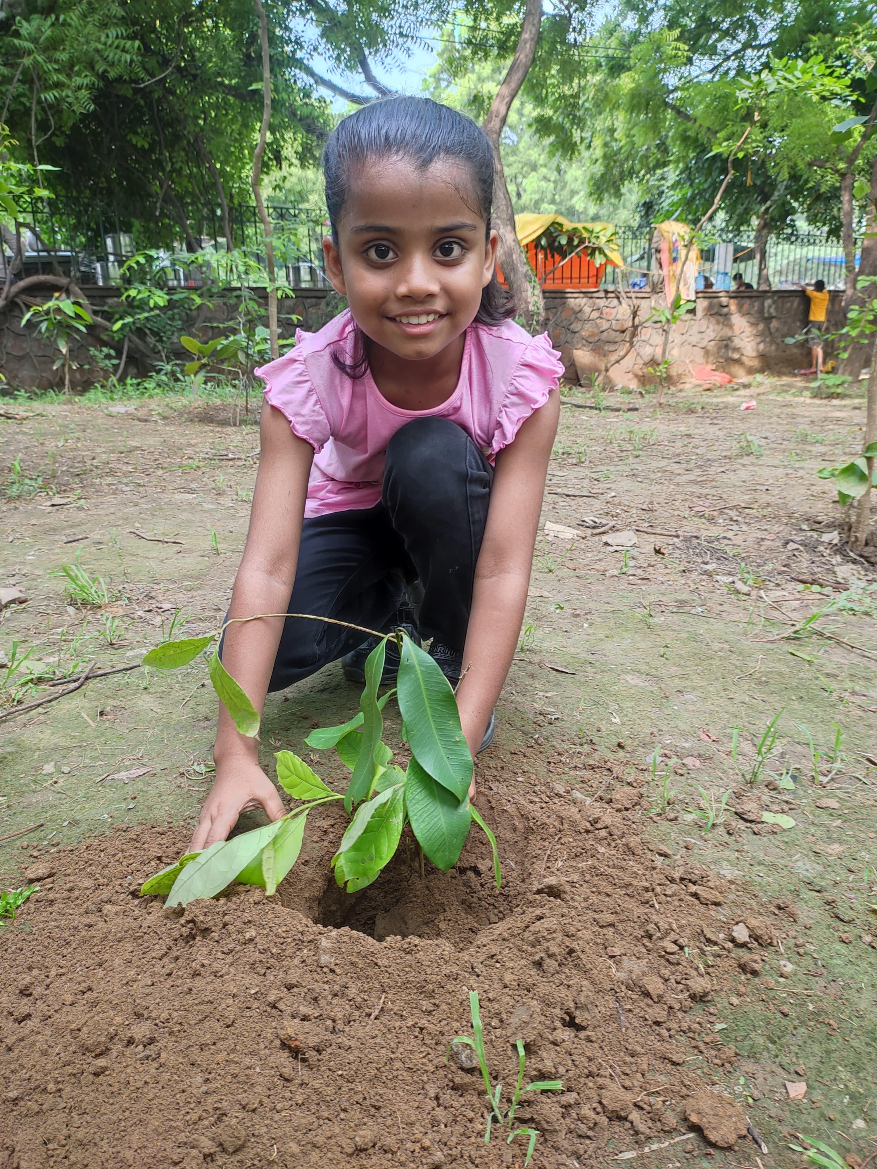 Tree plantation drive Aug 2024