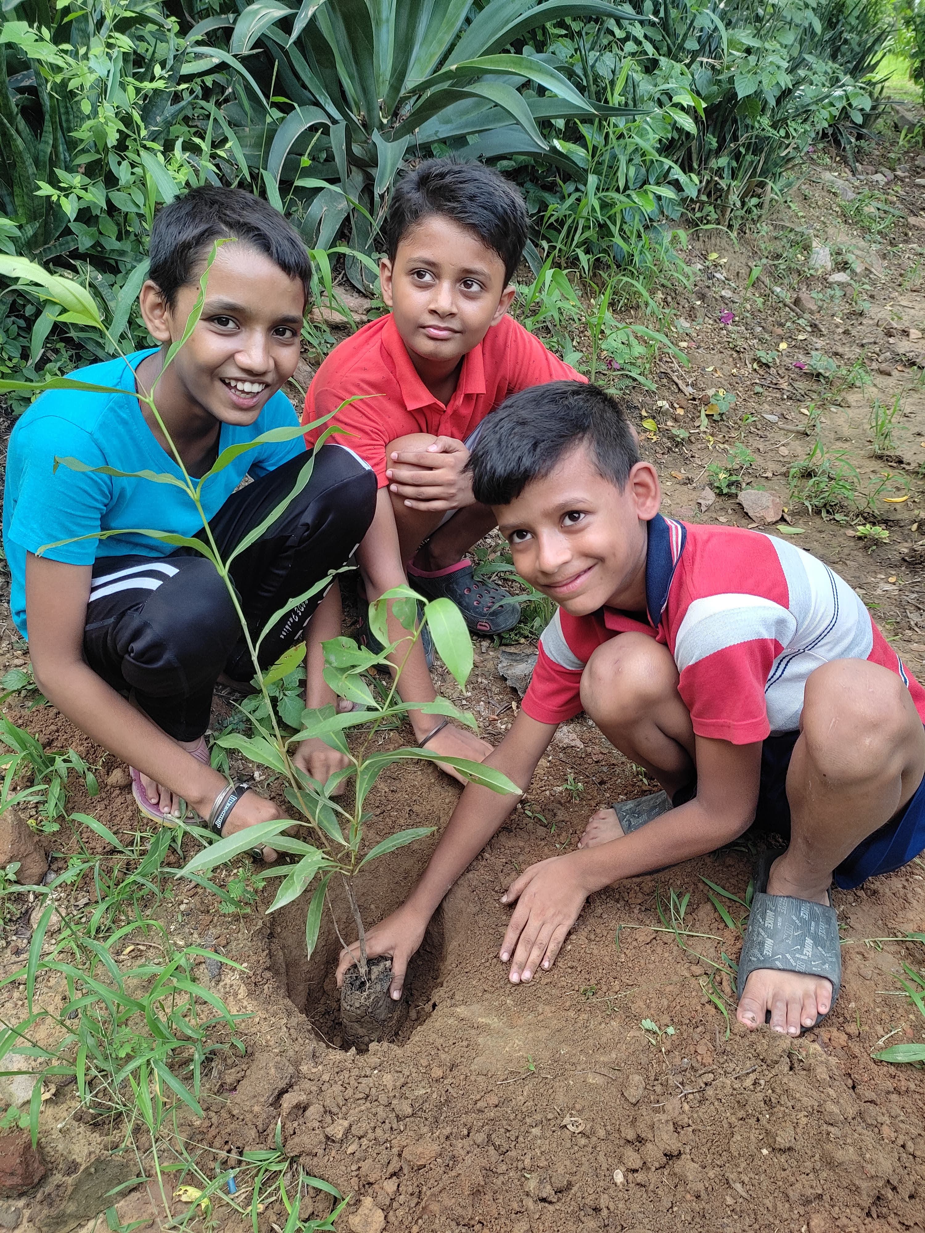 Tree plantation drive Aug 2024